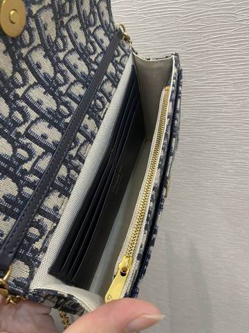 Dior Saddle woc 22x14x4cm wz (9)