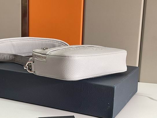 Dior Safari 22x15x6cm wz1 (2)