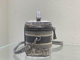 Dior Travel 18.5x13x10.5cm wo (15)