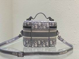 Dior Travel 18.5x13x10.5cm wo (30)