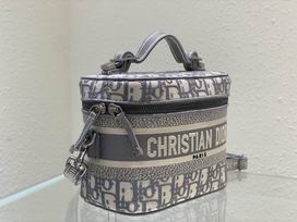 Dior Travel 18.5x13x10.5cm wo (33)