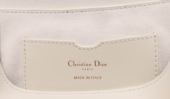 Dior bobby 2029 22x13x5cm wz (26)