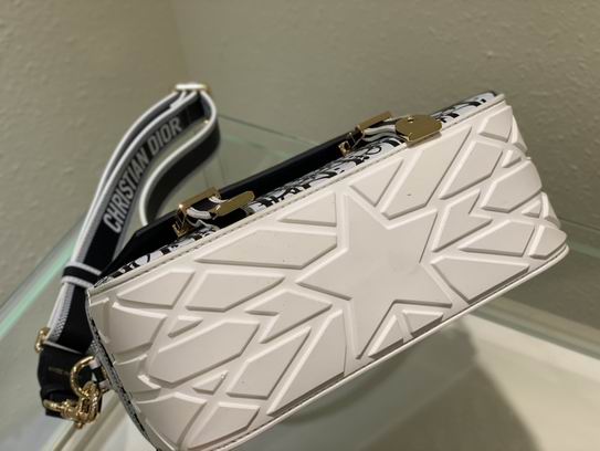 Dior camp 23cm wz (5)