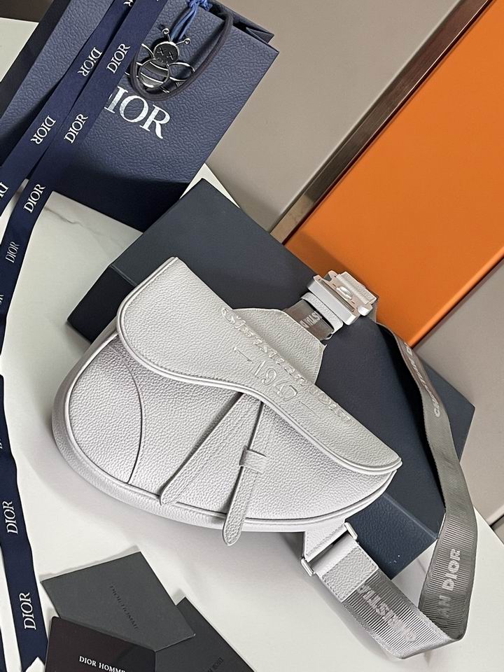 Dior saddle 26x19x4.5cm wz (1)