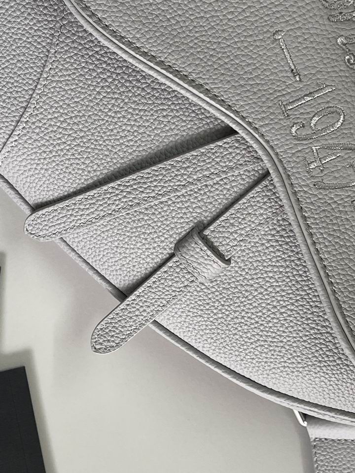 Dior saddle 26x19x4.5cm wz (6)