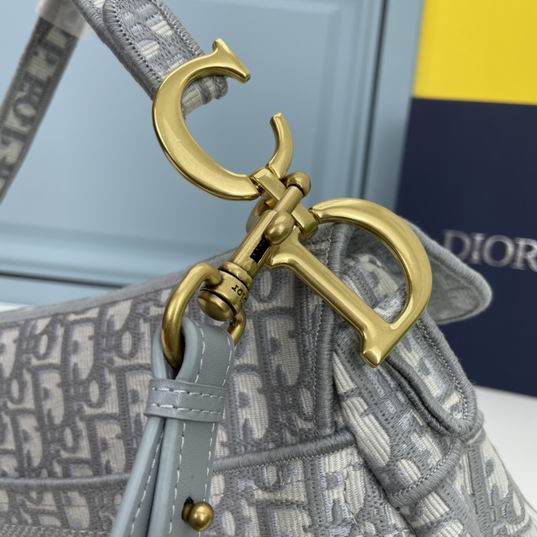 Dior saddle 8003 25.5x20x6.5cm ww (13)