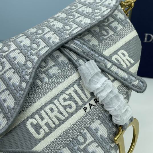 Dior saddle 8003 25.5x20x6.5cm ww (14)