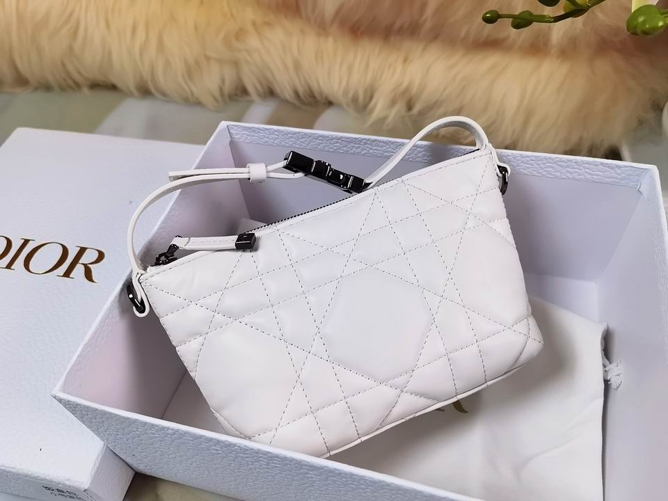 DiorTravel Nomad 15x10x8cm wo (10)