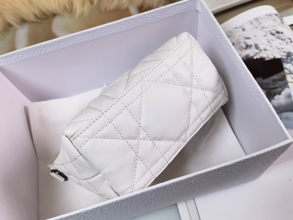 DiorTravel Nomad 15x10x8cm wo (13)