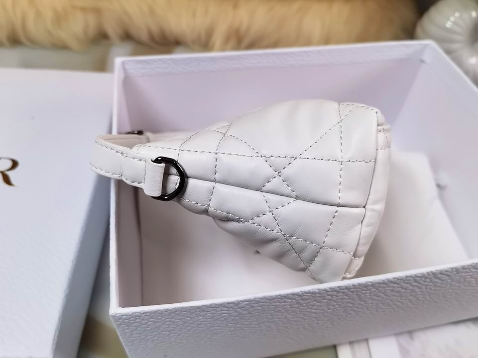 DiorTravel Nomad 15x10x8cm wo (14)