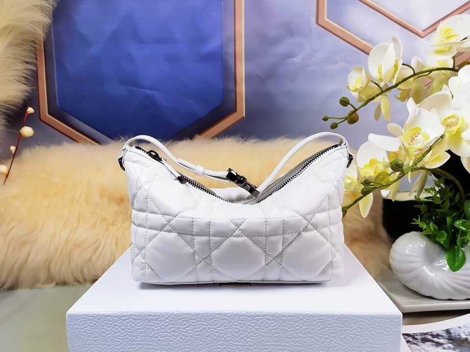 DiorTravel Nomad 22x13x9.5cm wo (10)