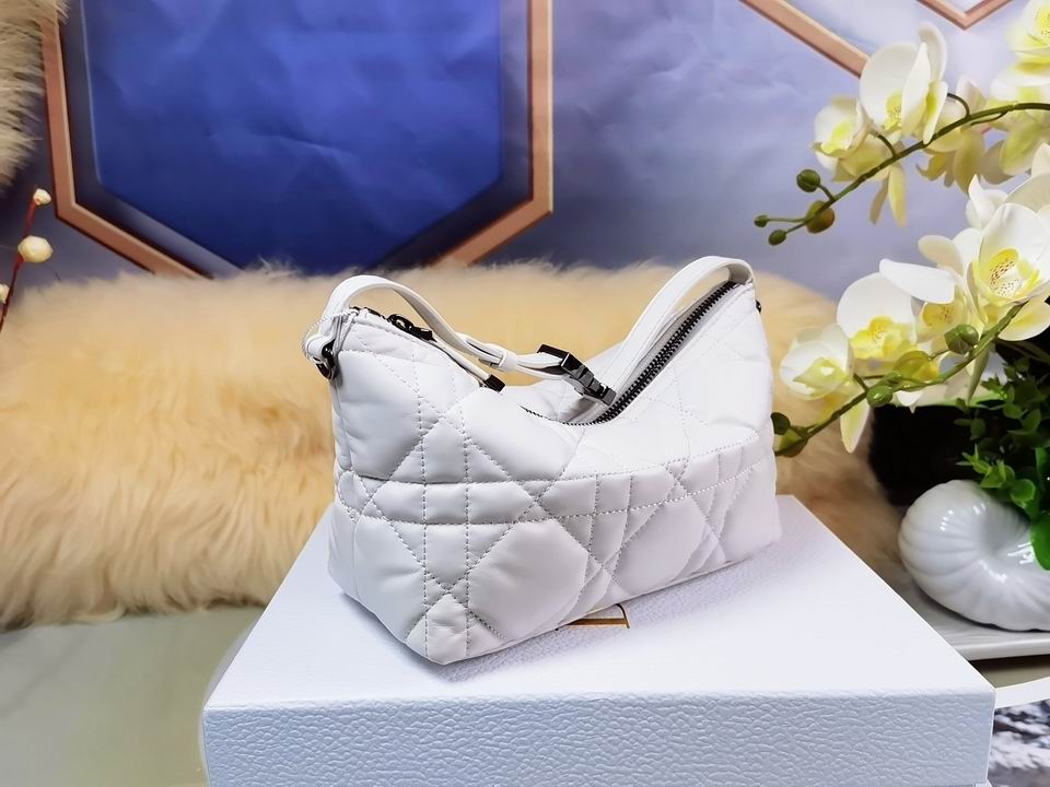 DiorTravel Nomad 22x13x9.5cm wo (11)