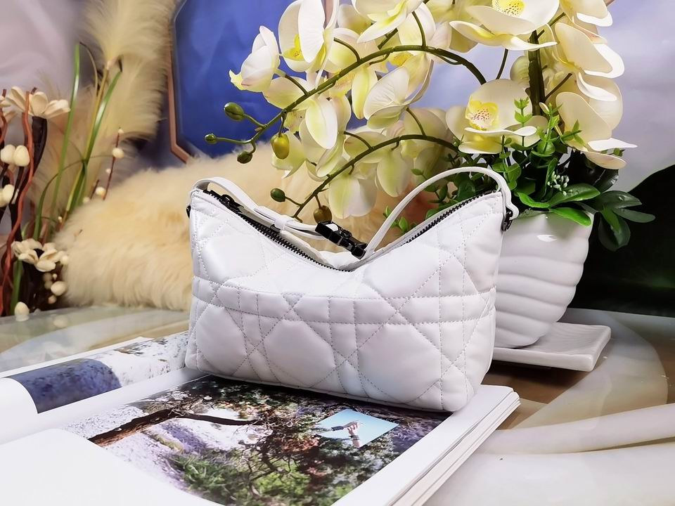 DiorTravel Nomad 22x13x9.5cm wo (12)