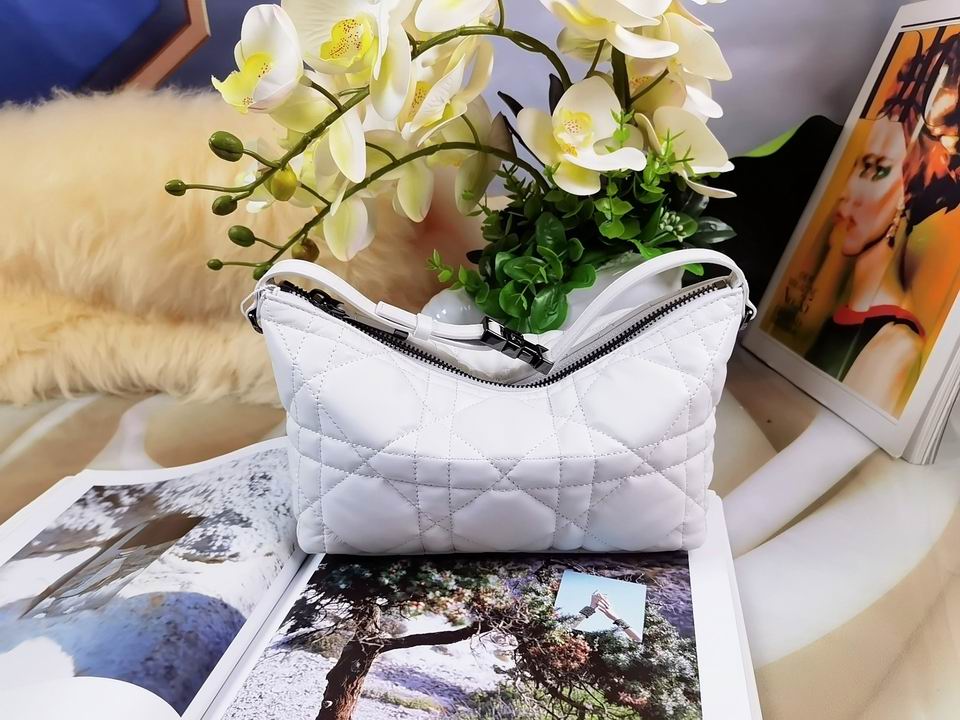 DiorTravel Nomad 22x13x9.5cm wo (13)