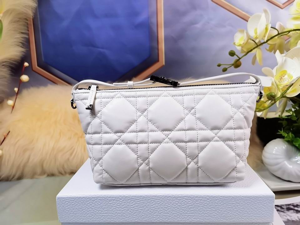 DiorTravel Nomad 22x13x9.5cm wo (14)