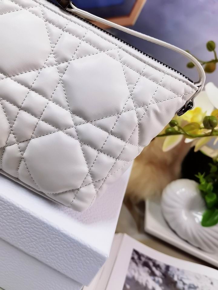 DiorTravel Nomad 22x13x9.5cm wo (16)