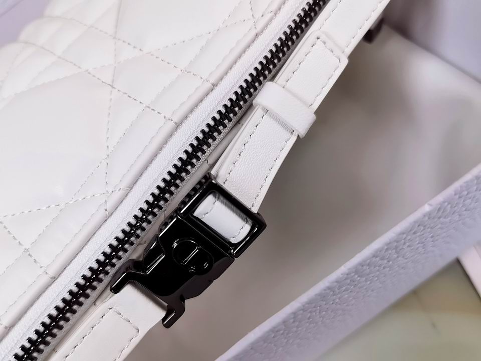 DiorTravel Nomad 22x13x9.5cm wo (18)