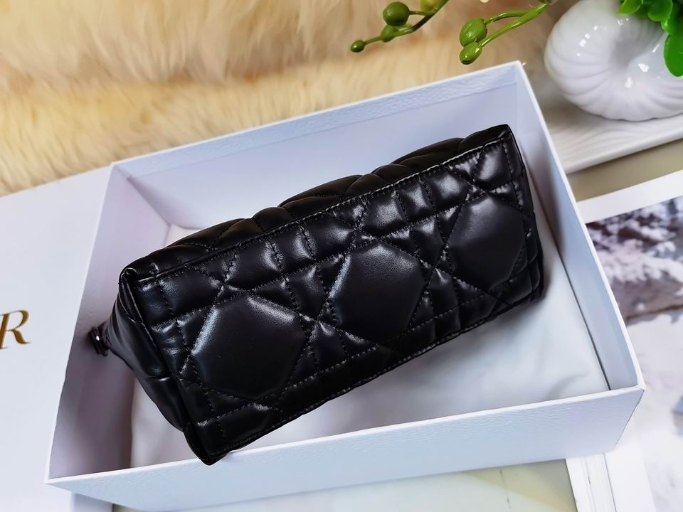 DiorTravel Nomad 22x13x9.5cm wo (3)