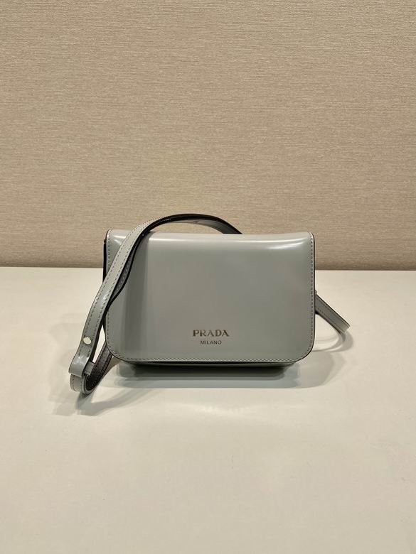 Prada 2VD061 18x12.5x2.5cm AP (11)