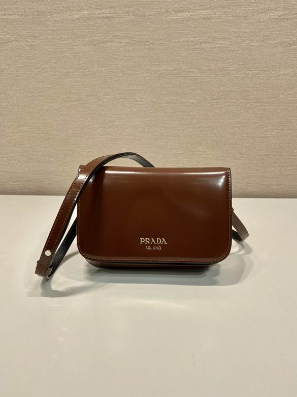 Prada 2VD061 18x12.5x2.5cm AP (20)