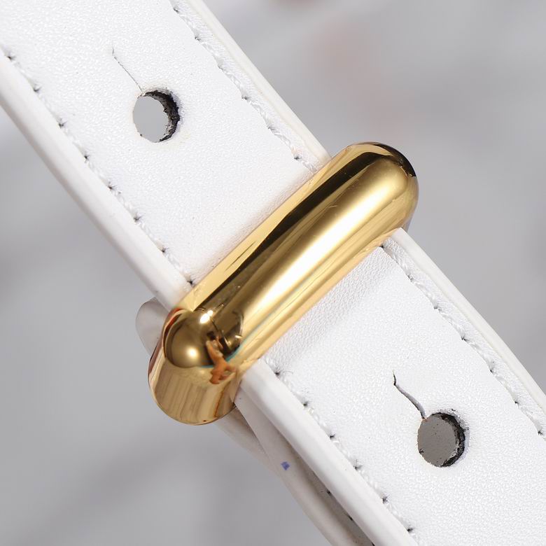 Prada 80188 24x14.5x7.5cm ww4色 (25)