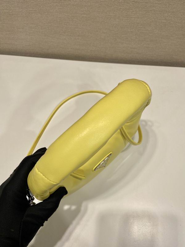 Prada hobo 1BA384 21x12.5x6.5cm AP1 (16)