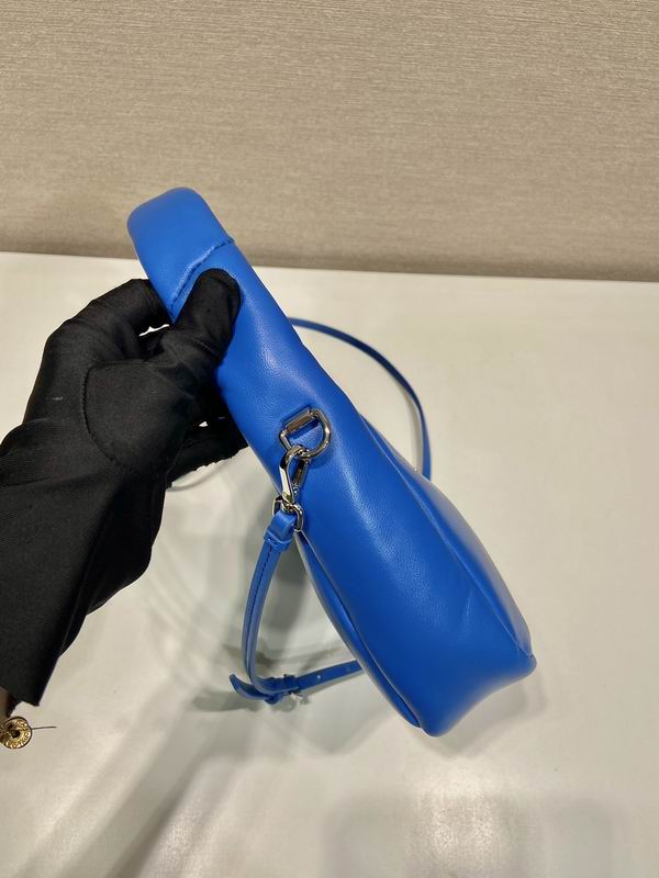 Prada hobo 1BA384 21x12.5x6.5cm AP1 (26)