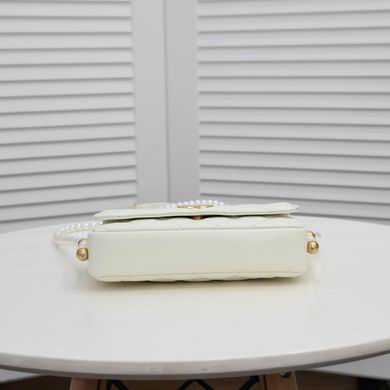 WO706 19.5X12.5X4.5 (13)