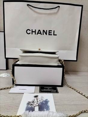 WOAP1450 19.2X12.3X3.5 (12)