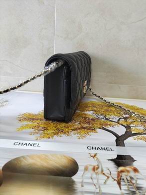 WOAP1943 19X12X5 (2)