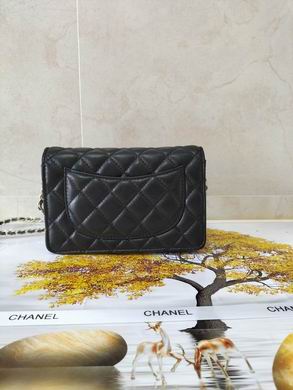 WOAP1943 19X12X5 (3)