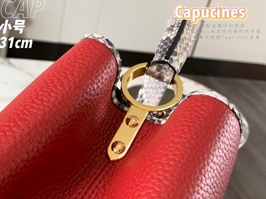 AFM95382_31.5 x 20.0 x 11.0 cm (15)