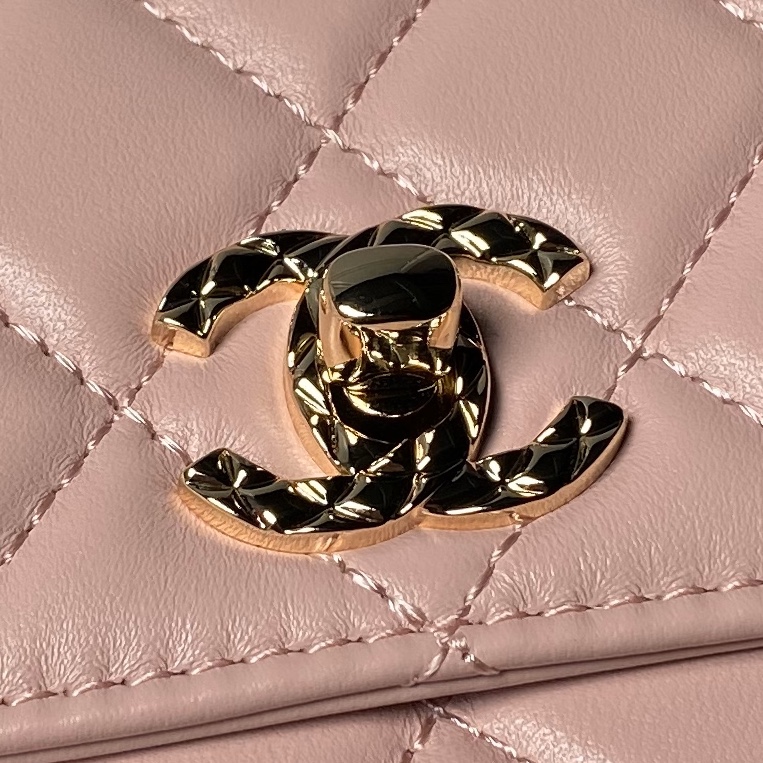 AP4051 19cm BL 5色 20