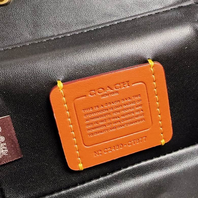 CT876 17.5X8.5X8.5cm AZ 4色 35