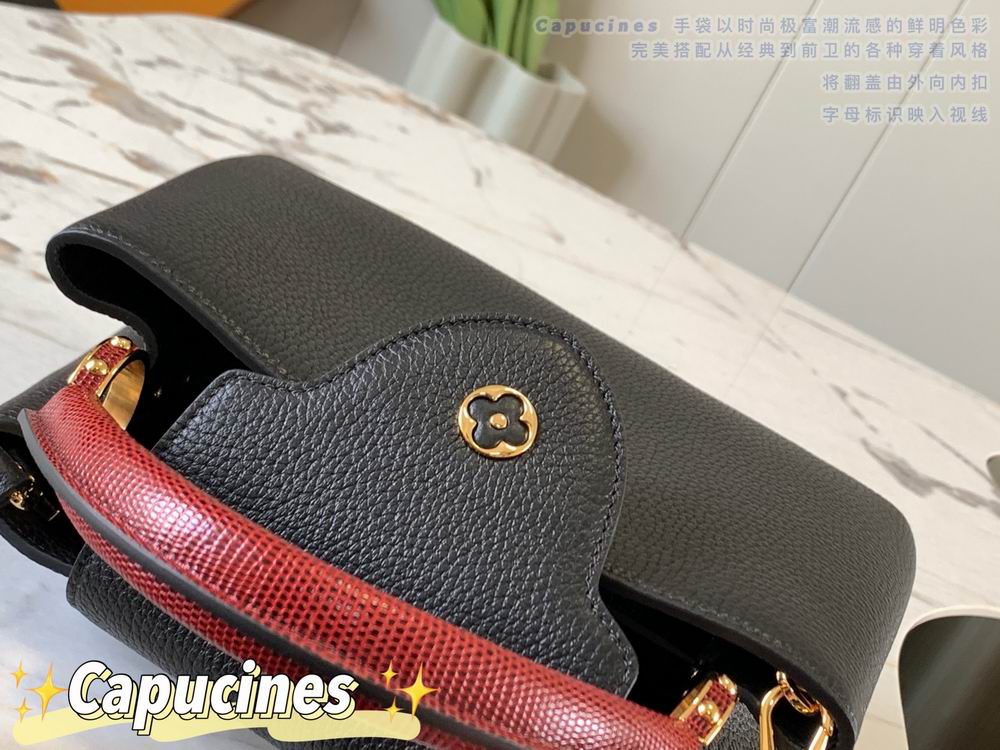 Capucines M48865 27x18x9 cm gf (14)
