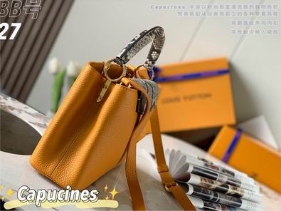 Capucines M48865 27x18x9 cm gf (36)