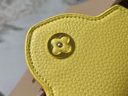 Capucines M20845 21x14x8cm ss (16)