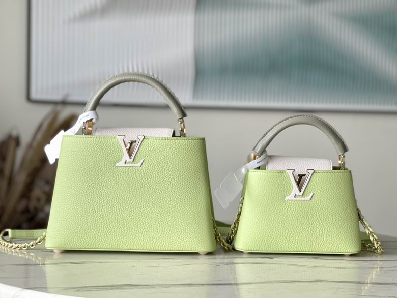 Capucines M22916 21x14x8cm gf (1)