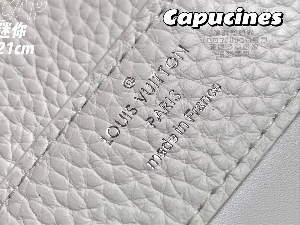 Capucines M55985 21x14x8cm gf (8)