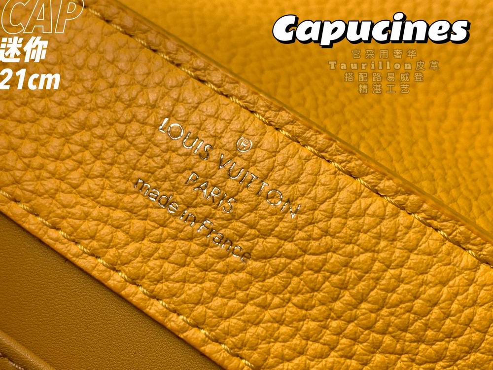 Capucines M55985 21x14x8cm gf-4 (8)