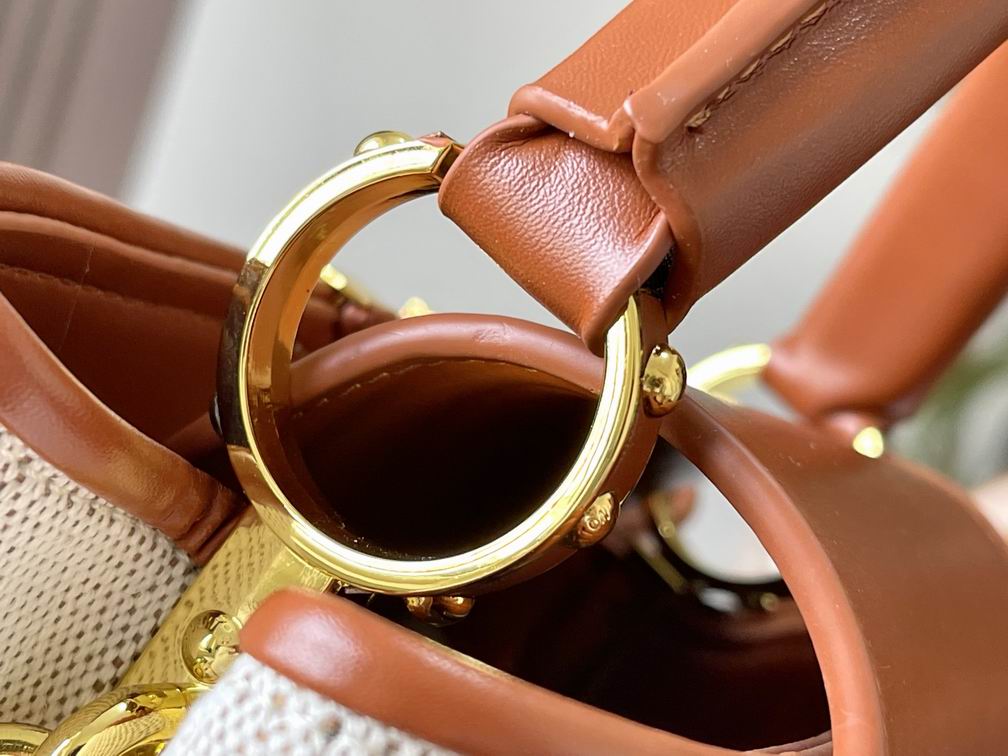 Capucines M57361绣花白棕金27x18x9cm cs (7)