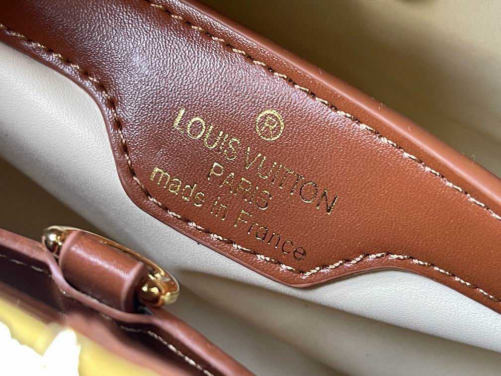 Capucines M57361绣花白棕金27x18x9cm cs (9)