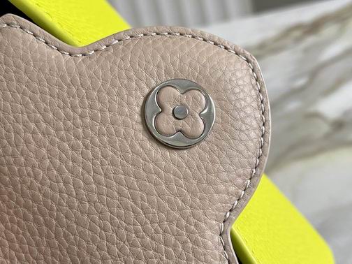 Capucines M57521 M48865 21x14x8cm gf (6)