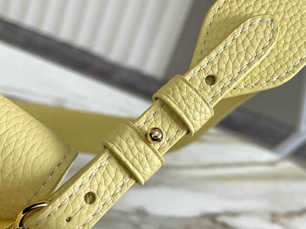 Capucines M58732 M48865 27x18x9cm gf (8)