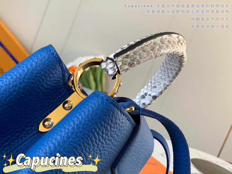 Capucines M87980 27x18x9 cm gf05 (6)