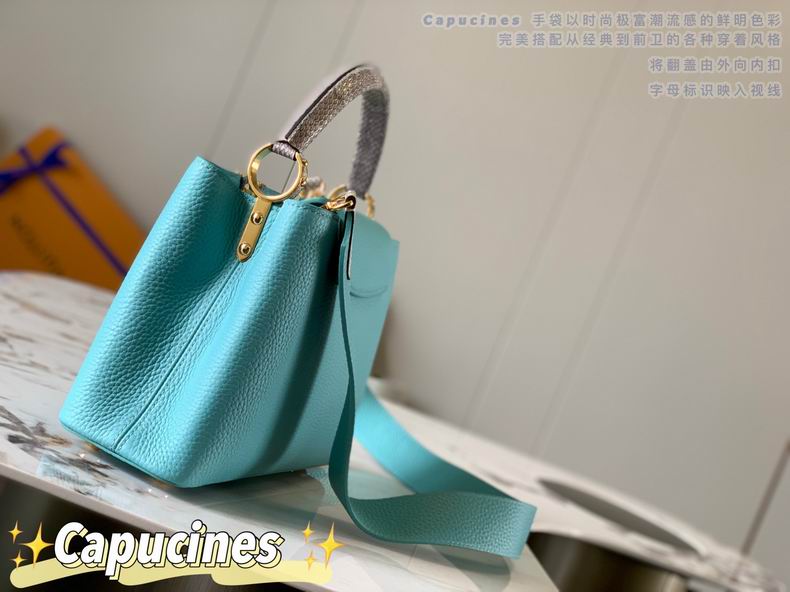 Capucines M87980 27x18x9 cm gf06 (2)