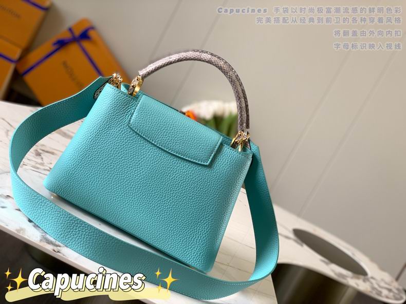 Capucines M87980 27x18x9 cm gf06 (3)