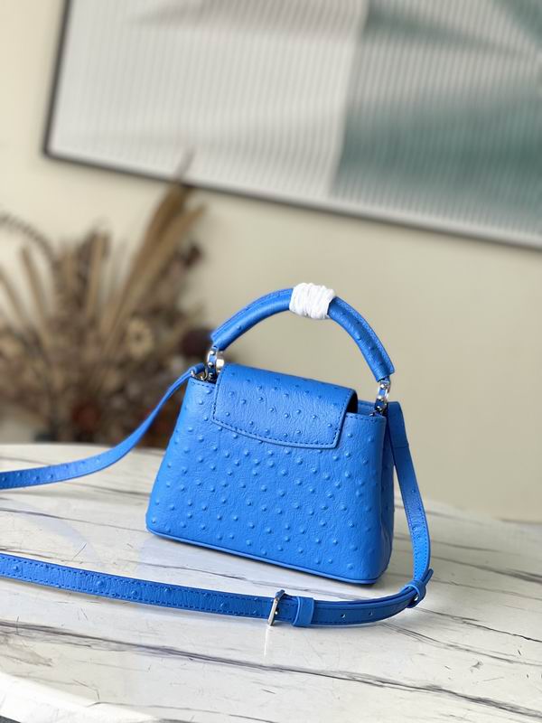 Capucines M95393绿 蓝色鸵鸟21x14x8cm gf (2)