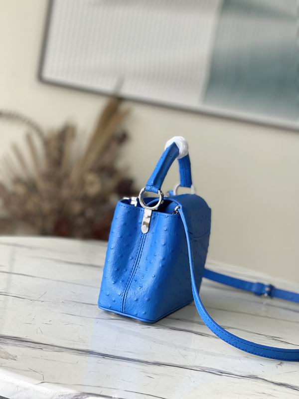 Capucines M95393绿 蓝色鸵鸟21x14x8cm gf (4)