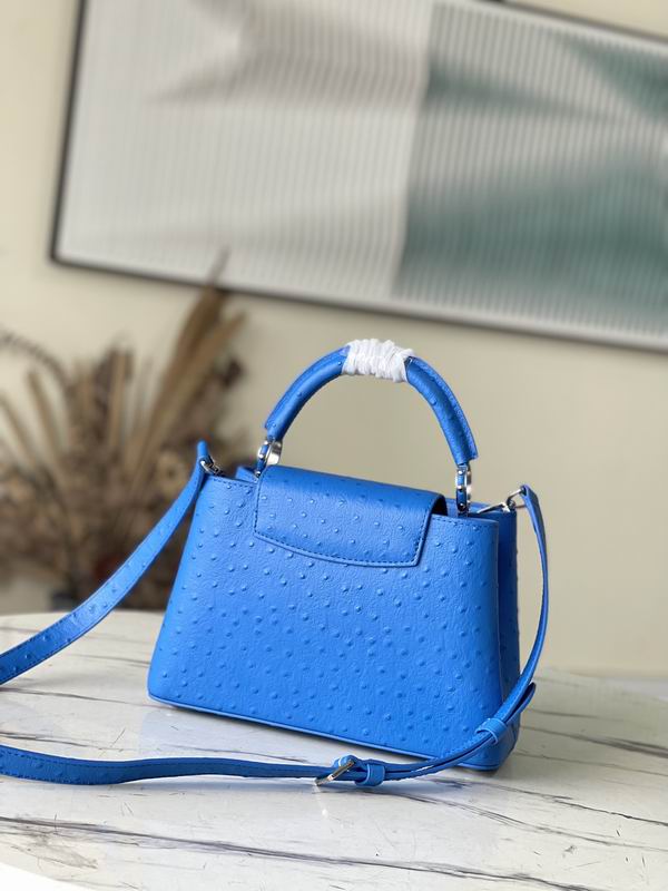 Capucines M95393绿 蓝色鸵鸟27x21x10cm gf (2)